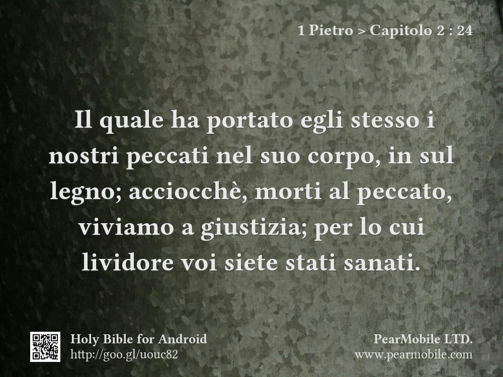 1 Pietro, Capitolo 2:24